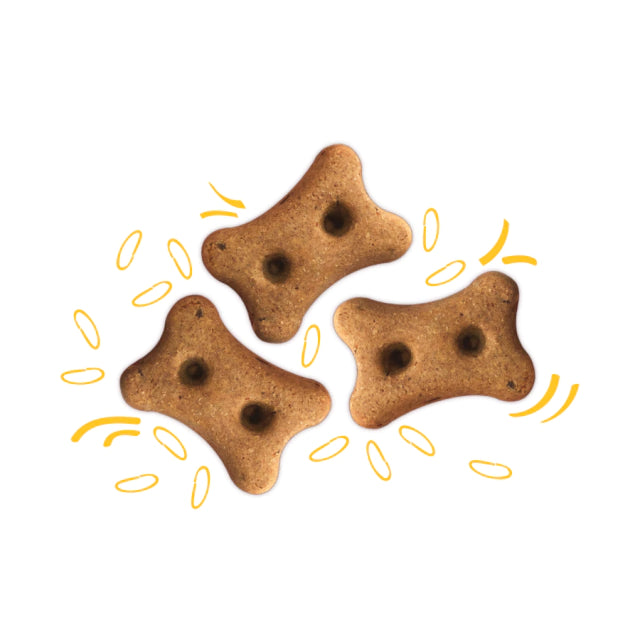 Biscoito Dog Menu Baked Multigrãos 500g — 4 Cereais e Frango para Cães